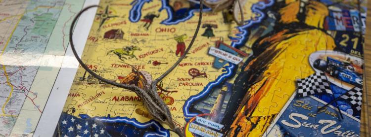 A detailed puzzle map of the United States, showcasing various states in vibrant colors.