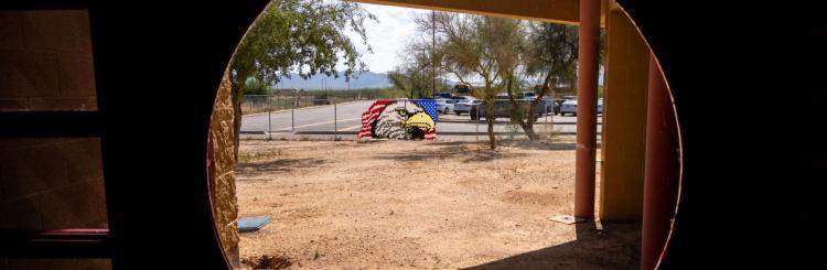 Eagle art on fence outside school.